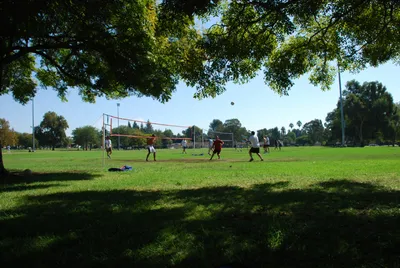DSC_0026 (Large).JPG